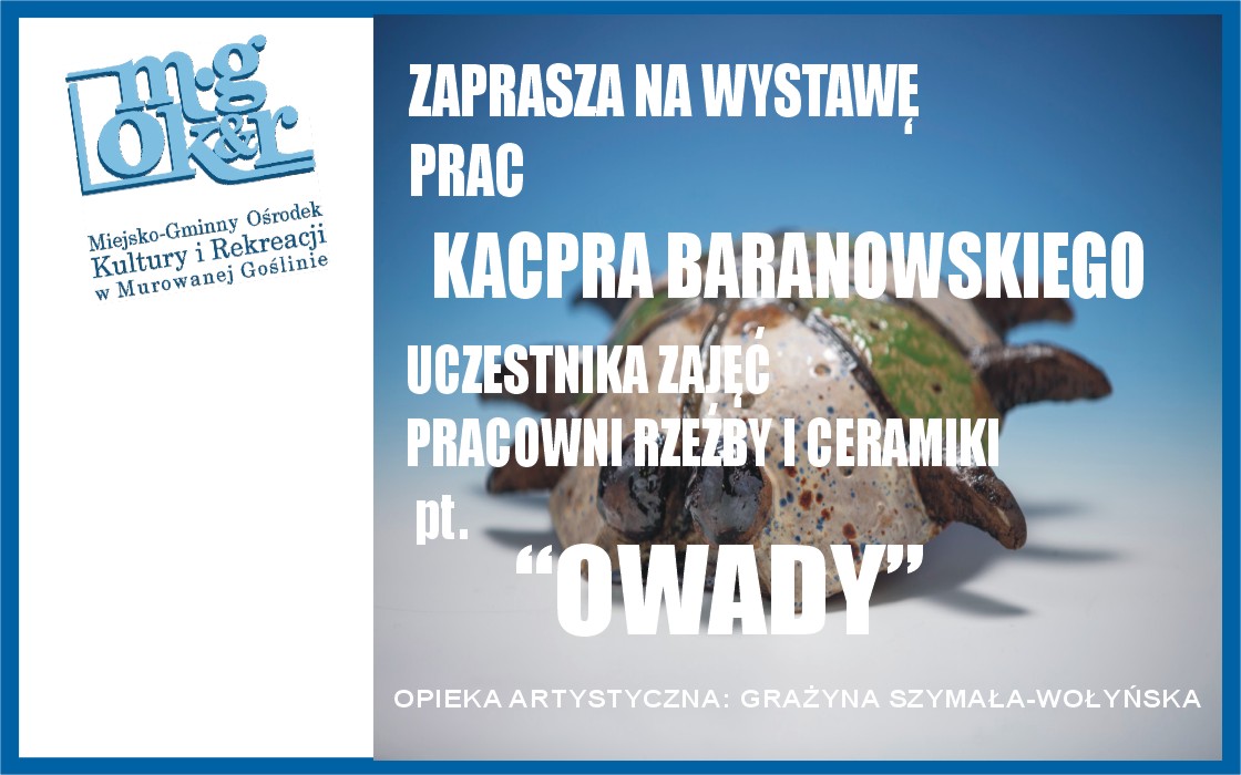 banerek WWW.jpg kacper baranowski