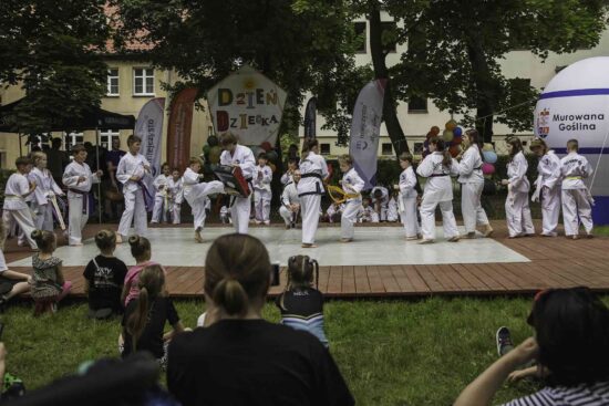 Pokaz Taekwondo