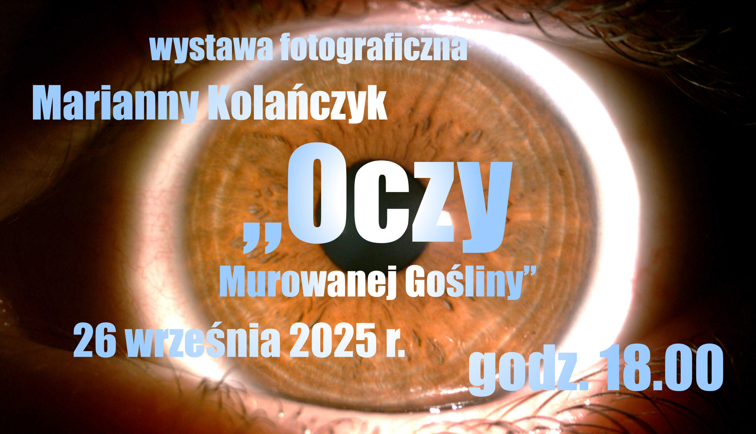 BanerWystawaFoto962x552